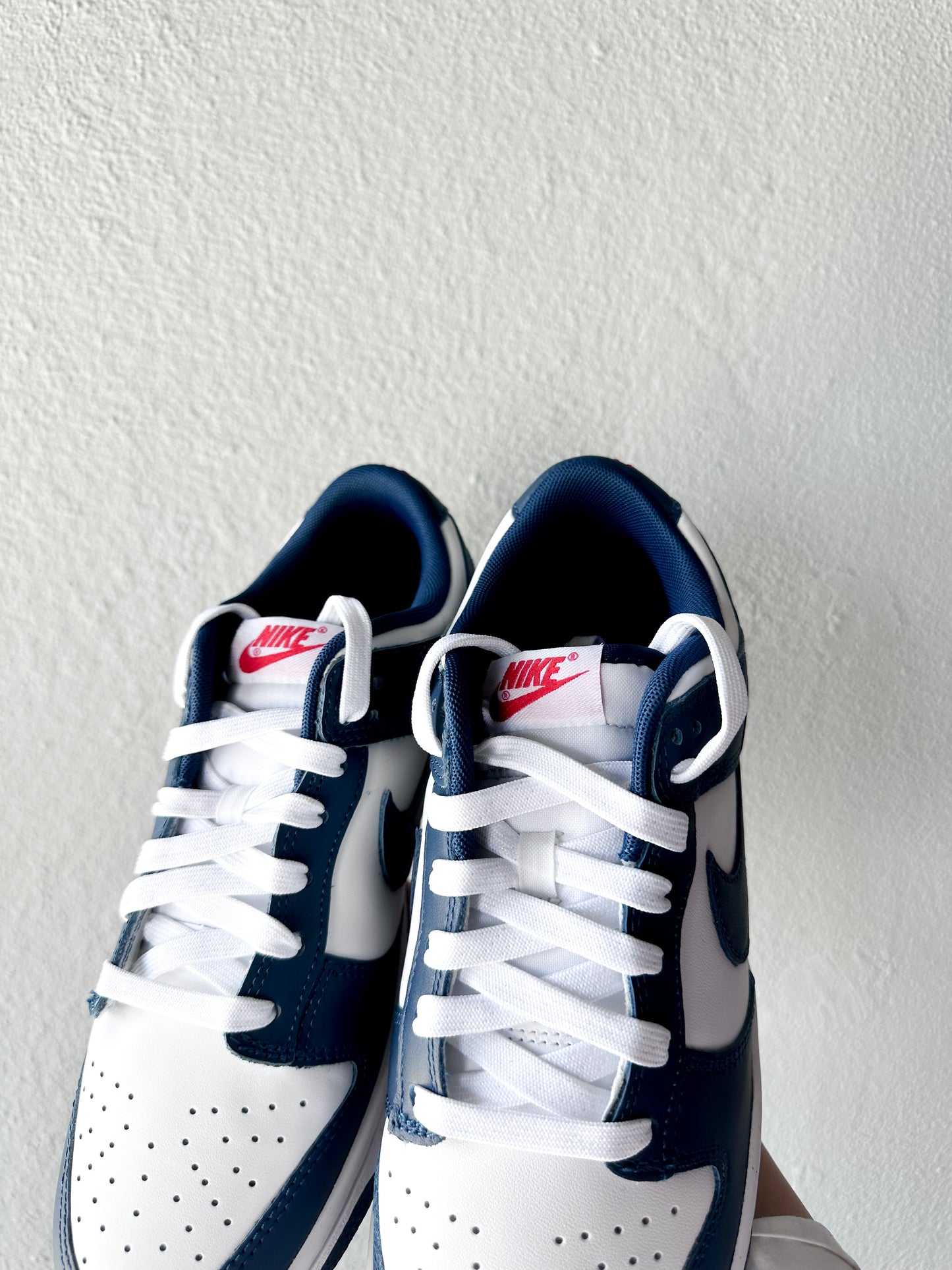 Nike Dunk Low Valerian Blue