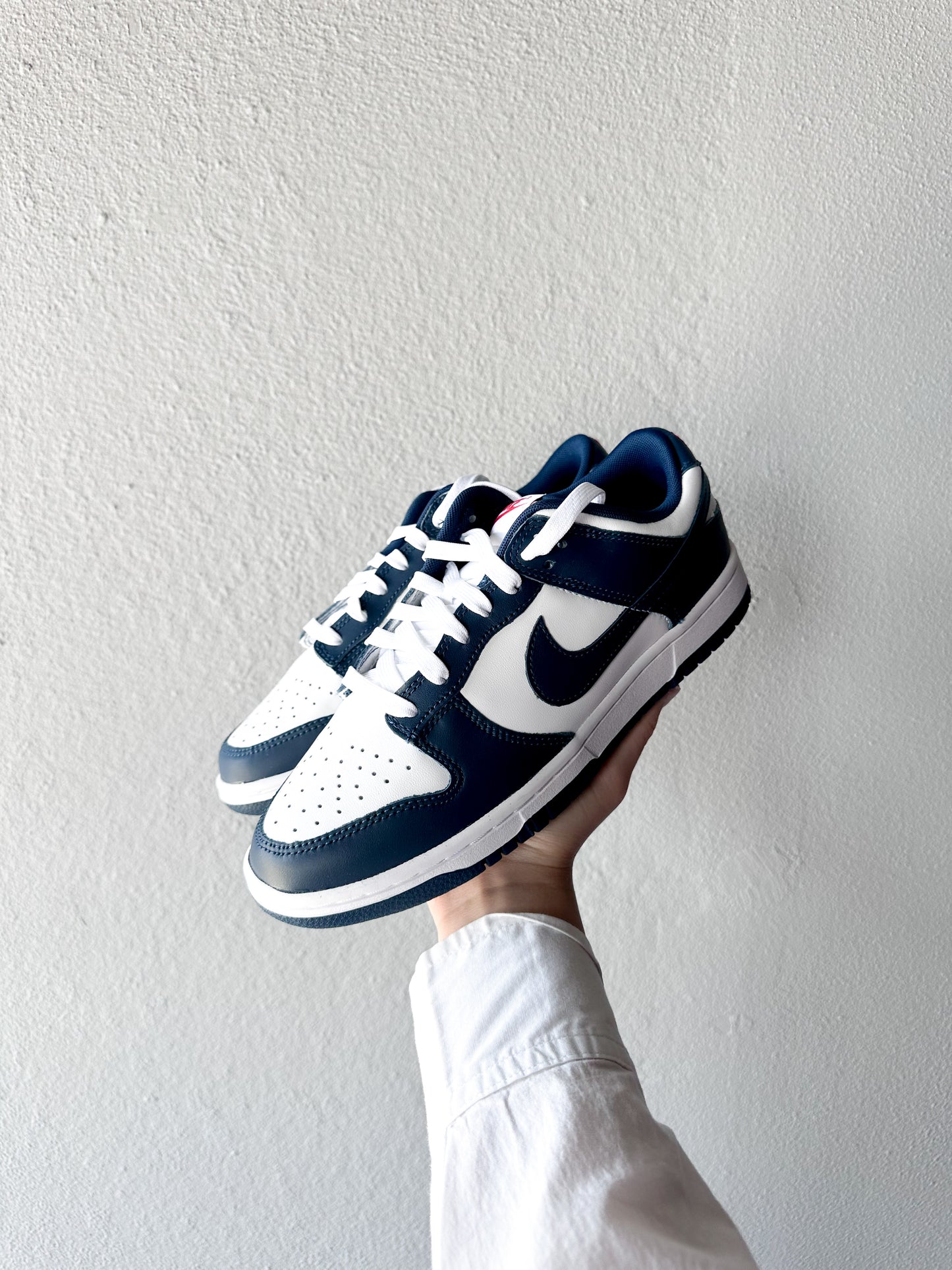 Nike Dunk Low Valerian Blue
