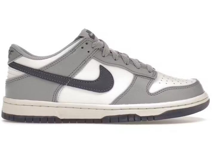 Nike Dunk Low Platinum Tint Light Carbon (GS)