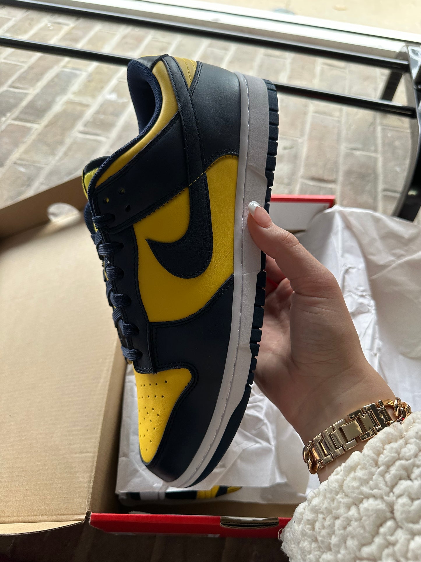 Nike Dunk Low Michigan (2021)