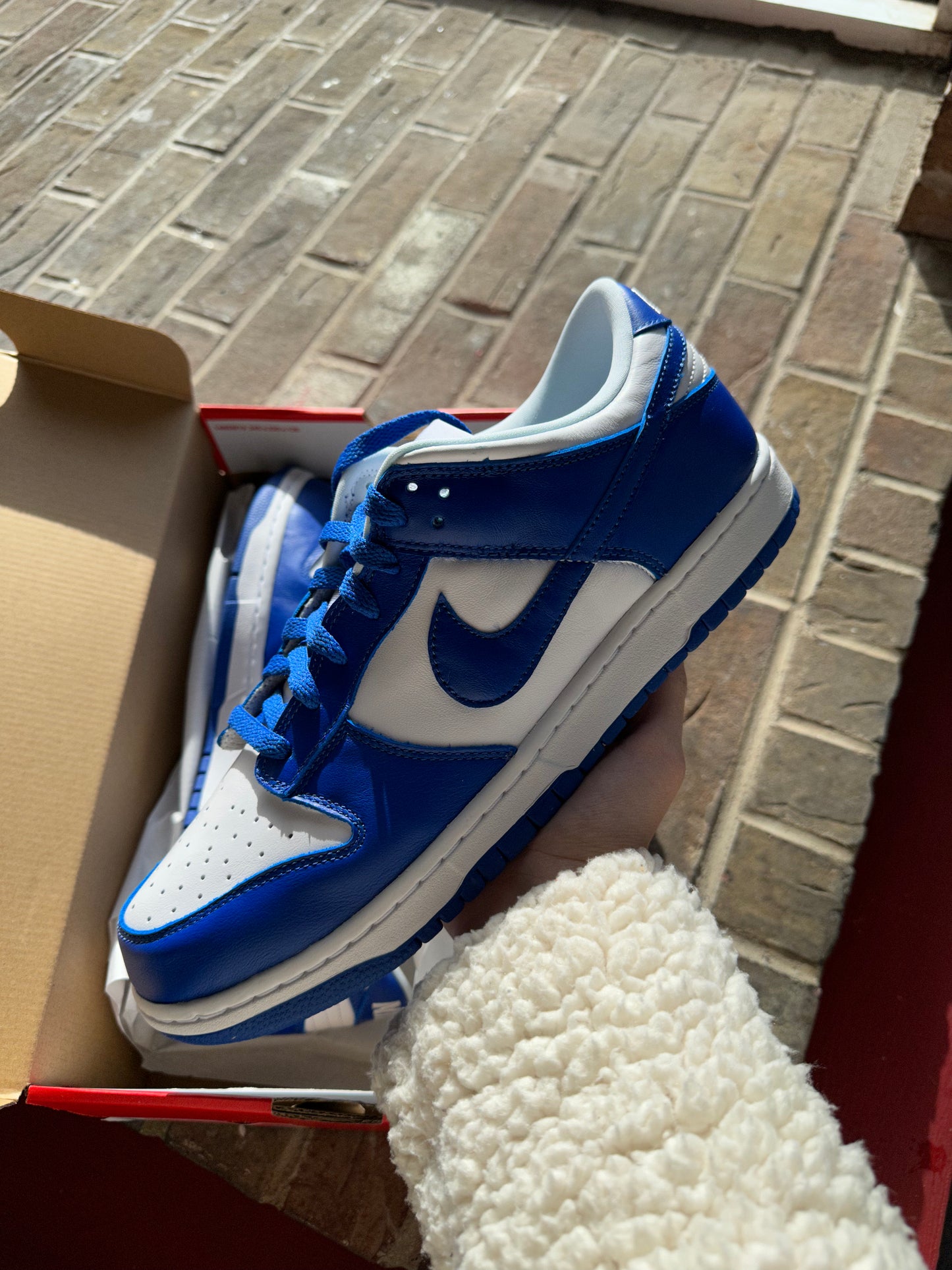 Nike Dunk Low SP Kentucky (2020/2022)