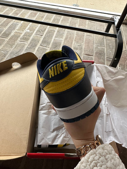 Nike Dunk Low Michigan (2021)