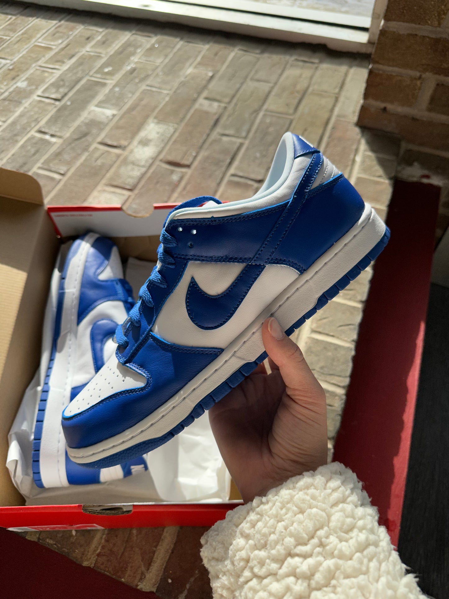 Nike Dunk Low SP Kentucky (2020/2022)